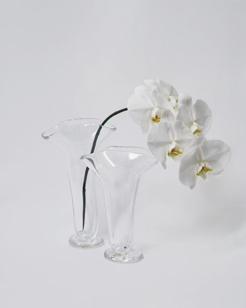 TODAYFUL(トゥデイフル) / Life's online store（ライフズ