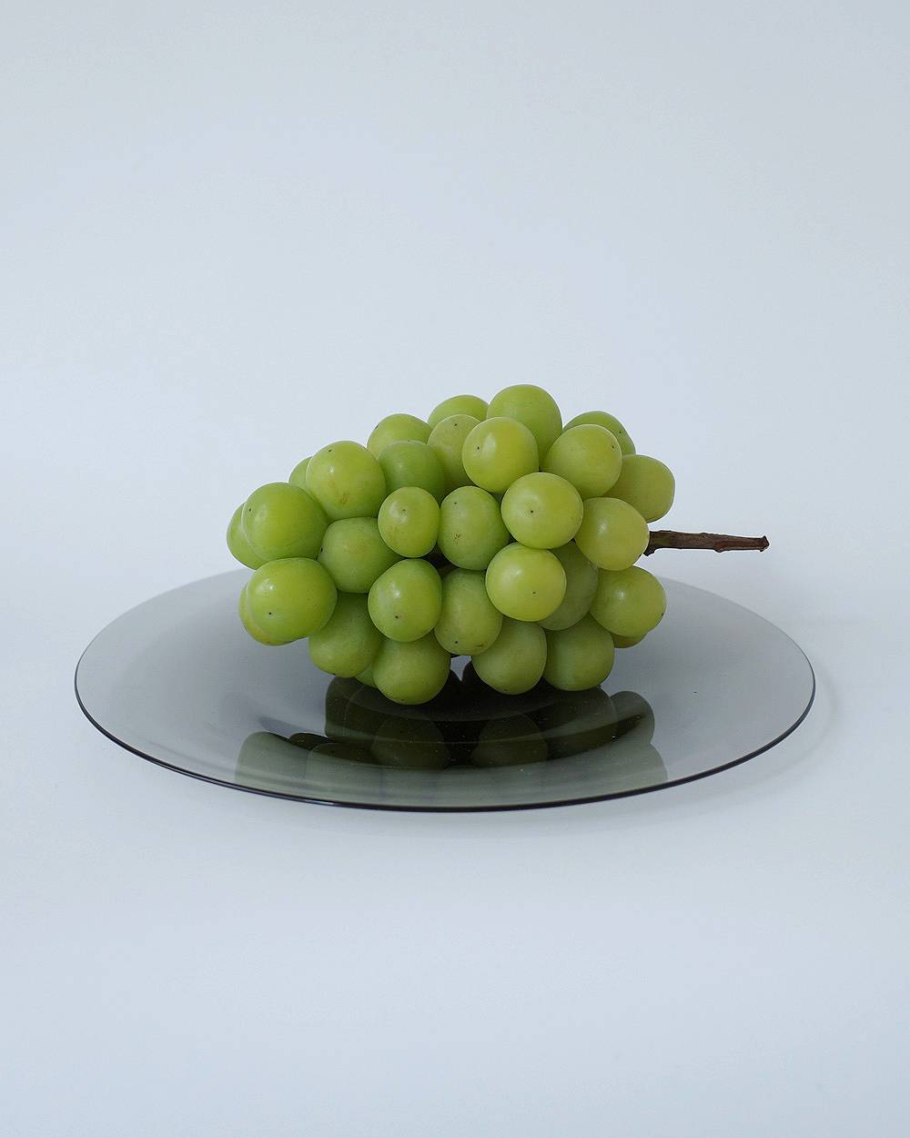 WASHIZUKA GLASS STUDIO plate 260 WASHIZUKA GLASS STUDIO plate 260,ワシズカガラススタジオ プレート260,82521224,プレート,皿,テーブルウェア,ハンドメイド,ガラス作家,WASHIZUKA GLASS, ワシズカガラス,鷲塚貴紀,インテリア,lifes,ライフズ