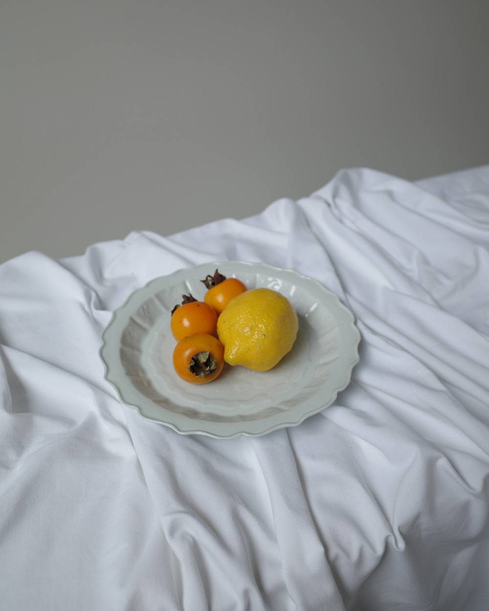 文祥窯　白磁花喰鳥型打7寸皿 文祥窯　白磁花喰鳥型打7寸皿,ぶんしょうがま はくじはなくいどり がたうち7すんざら,82521229,白磁,文祥窯 ,馬場光二郎,有田焼,器,作家,皿,テーブルウェア,インテリア,lifes,ライフズ