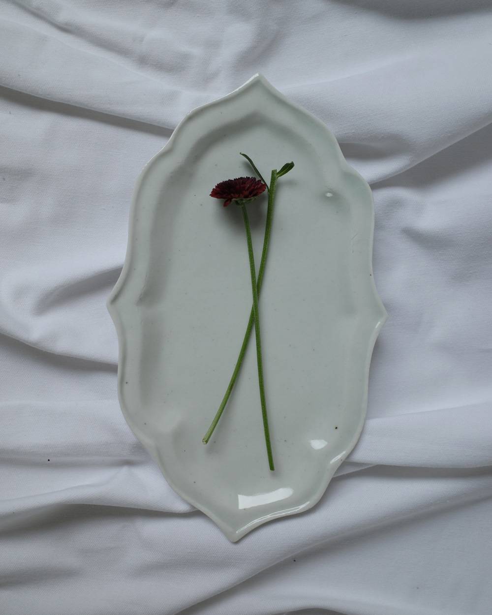 文祥窯　白磁型打タタラ稜花皿 文祥窯　白磁型打タタラ稜花皿,ぶんしょうがま はくじくかたうちたたらりょうかざら,82521234,白磁,文祥窯 ,馬場光二郎,有田焼,器,作家,皿,テーブルウェア,インテリア,lifes,ライフズ